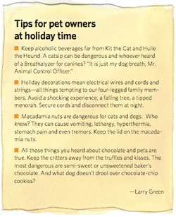 holiday pet tips