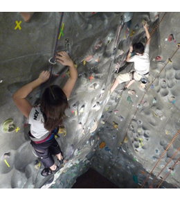 climbingwalls