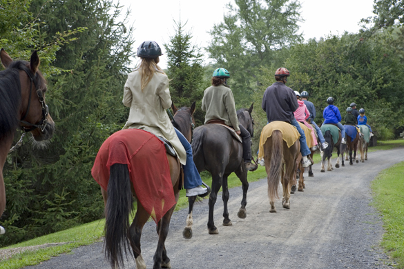 summer-camp-special-needs-horses