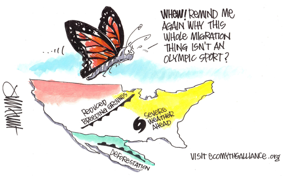 EcoMyths-Monarchs-cartoon