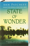 Books-hot-reads-State-of-Wonder