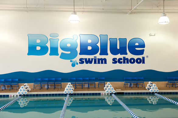 best-of-2014-big-blue-swim