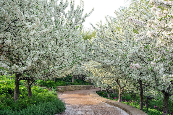 best-of-2014-chicago-botanic-garden
