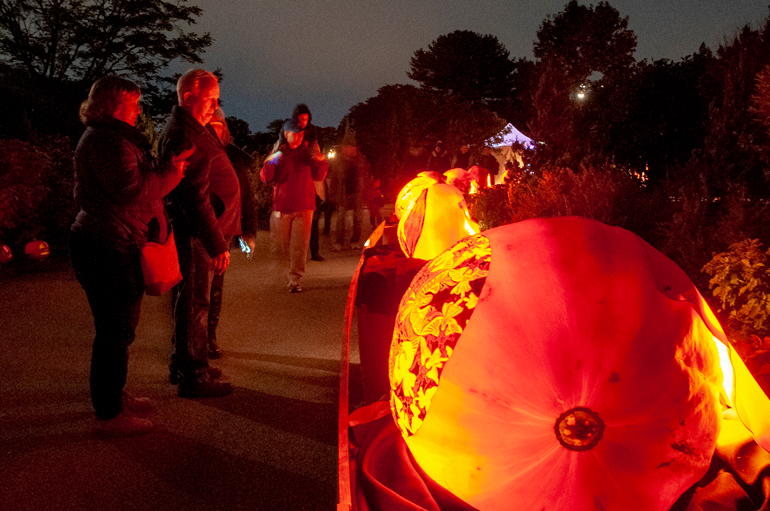 Chicago Botanic Garden: Night of 1,000 Jack-o'-Lanterns