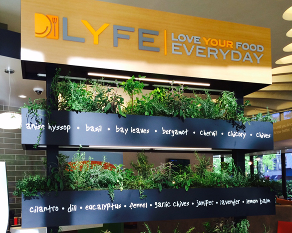 dining-LYFE-herb-garden