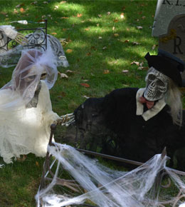 halloween-decor-lead
