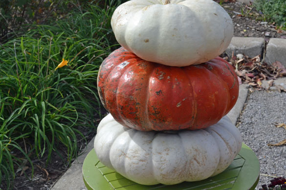 halloween-decor-pumpkins-1