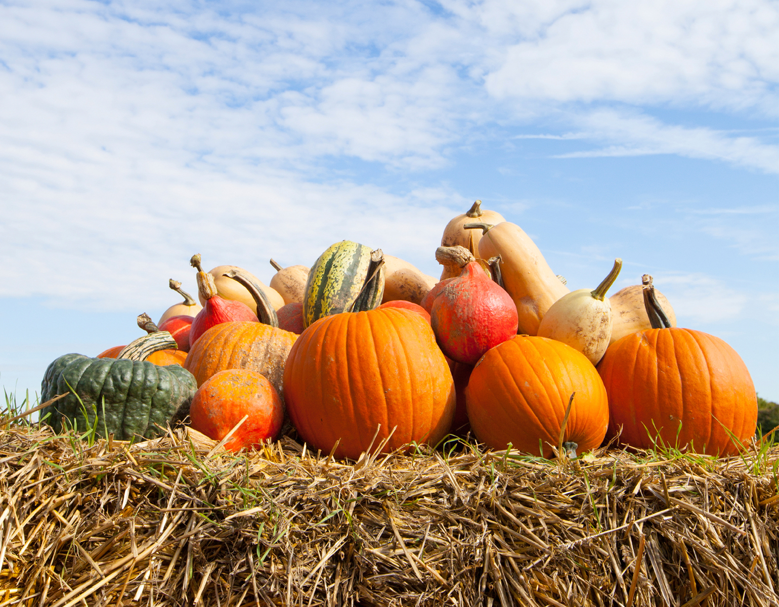 October Highlights: Apple Orchards, Pumpkin Patches and Fall Fun