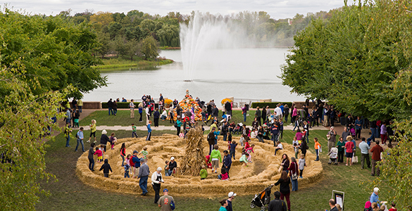 5Things-Fall-Bulb-Festival