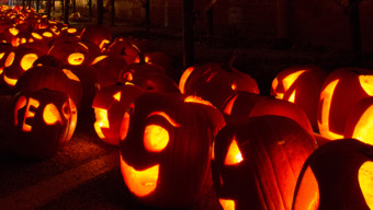 31 Best Things to Do in Chicago and The Suburbs in October 2025