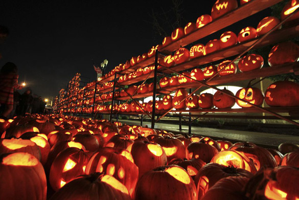 outings-spooky-highwood-pumpkin-festival
