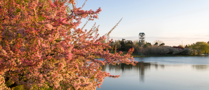 5-Things-Gumballs-and-Superballs