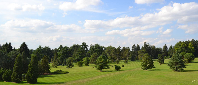 The Morton Arboretum