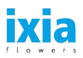 Ixia Flowers