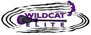 Wildcat Elite Club