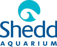 Shedd Aquarium Logo