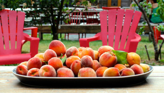 The Coolest Garden-to-Table Restaurants in Chicago