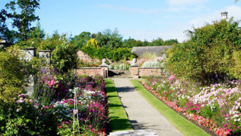 Visiting Ireland With Wee Ones