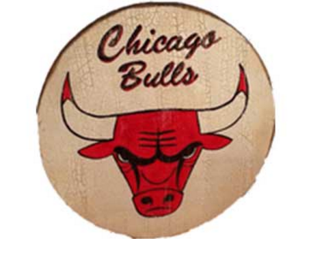 Chicago Bulls Vintage Nest