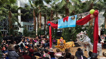 Celebrate Chinese New Year at Navy Pier