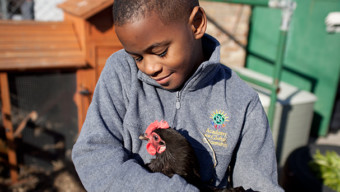 Academy for Global Citizenship