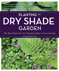 "Planting the Dry Shade Garden"