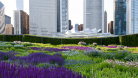 Lurie Garden in Chicago's Millennium Park