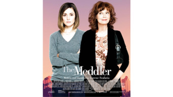 "The Meddler"