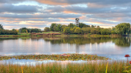 Chicago Botanic Garden