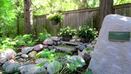 "Pondless" Waterfall at Hadley Institute