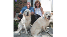 Expert Advice on Preventing and Dealing With Alzheimer's