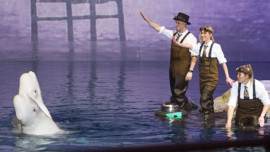 Shedd Aquarium Gala 2016