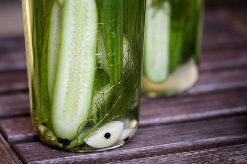 Garlic Dill Pickles from The Hungry Hounds