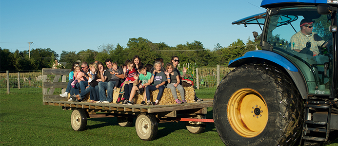 Harvest Bonfire at Wagner Farm