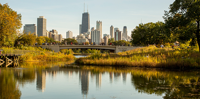 Lincoln Park Zoo Fall Fest