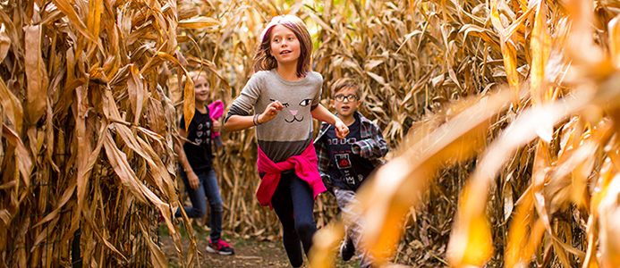 Lincoln Park Zoo's Fall Fest