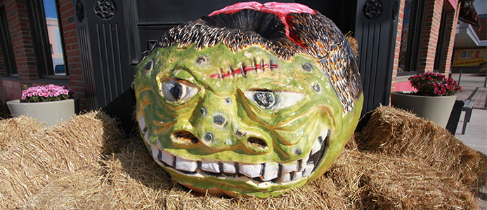 Family Fall Fest at MB Financial Park