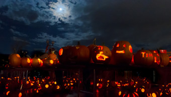 The Great Highwood Pumpkin Fest 2016