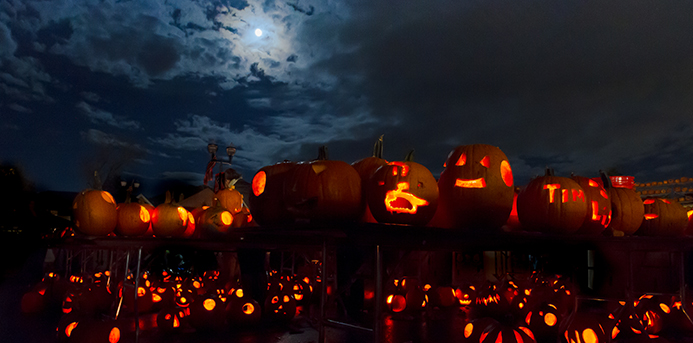 The Great Highwood Pumpkin Fest 2016