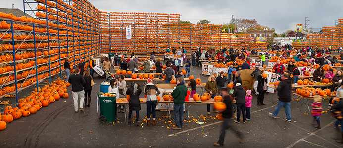 The Great Highwood Pumpkin Fest