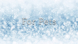 Make It Better 2016 Gift Guide: For Pets