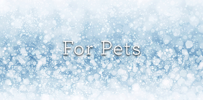 Make It Better 2016 Gift Guide: For Pets