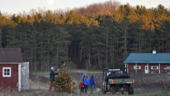 How This Local Family Made Cutting Down Their Own Christmas Tree a Special Tradition