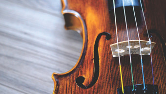 5 Things to Do Around Chicago: Jan. 13-15