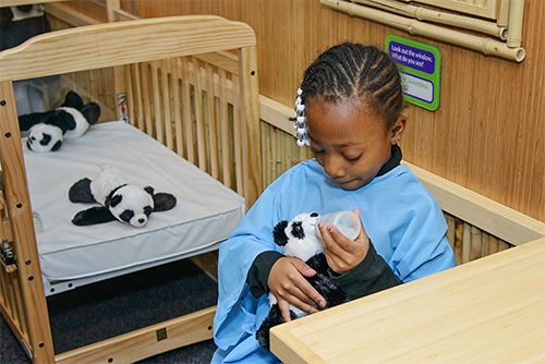 Kohl Children's Museum: Children's China exhibit (The Panda Reserve)