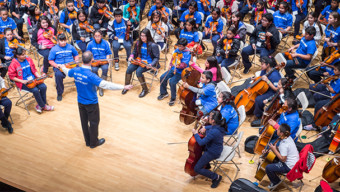 Arts Organizations: Ravinia