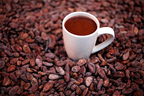 Best Hot Chocolate Around Chicago: XOCO