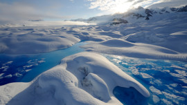 5 Things to Do in Chicago: Extreme Ice at Museum of Science and Industry