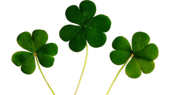 5 Things to Do in Chicago: March 10-12