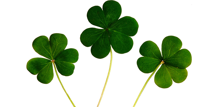 5 Things to Do in Chicago: March 10-12